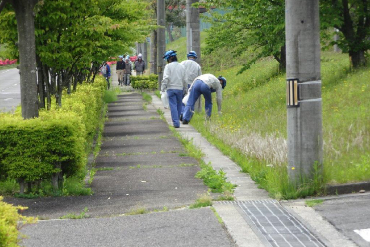 クリーンアップ活動